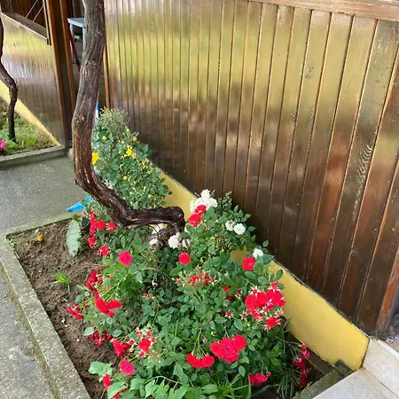 Dom wakacyjny дървени къщички - лион Sinemorec