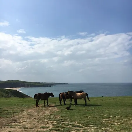 Dom wakacyjny дървени къщички - лион *
