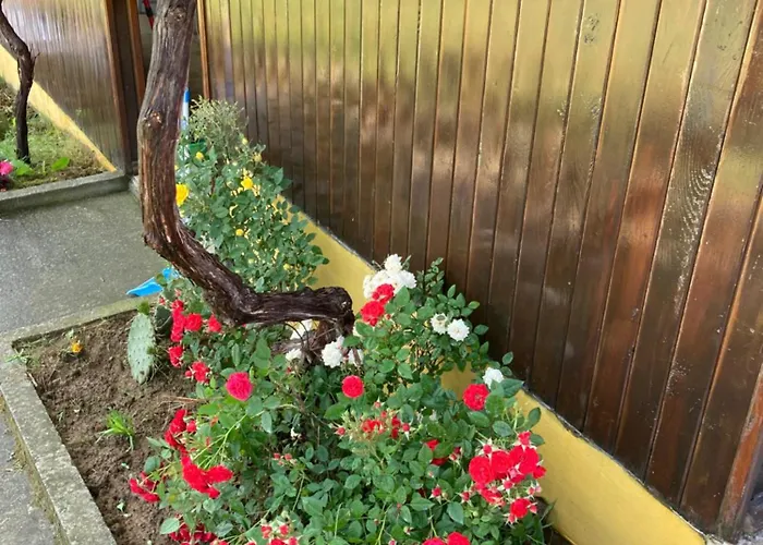 Сasa de vacaciones дървени къщички - лион Sinemoretz